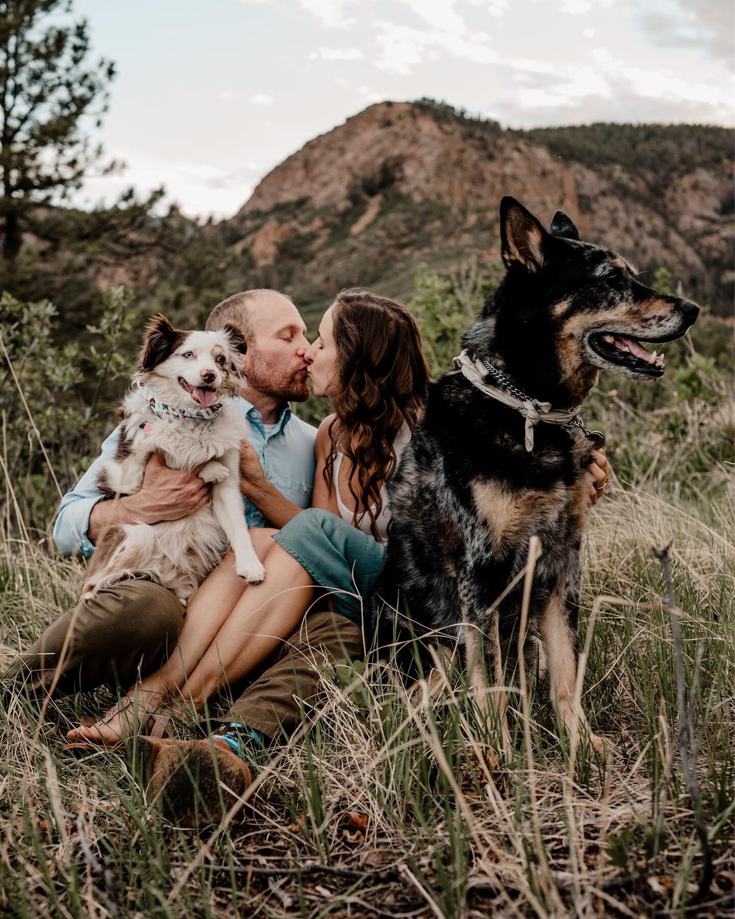 10/10 times YES you should always bring your doggos with you to your engagement session. 🐶 Furry friends are ALWAYS welcome to join in on the fun!
-
-
-

#coloradophotographer #coloradospringsphotographer #coloradospringsengagementphotographer #colo