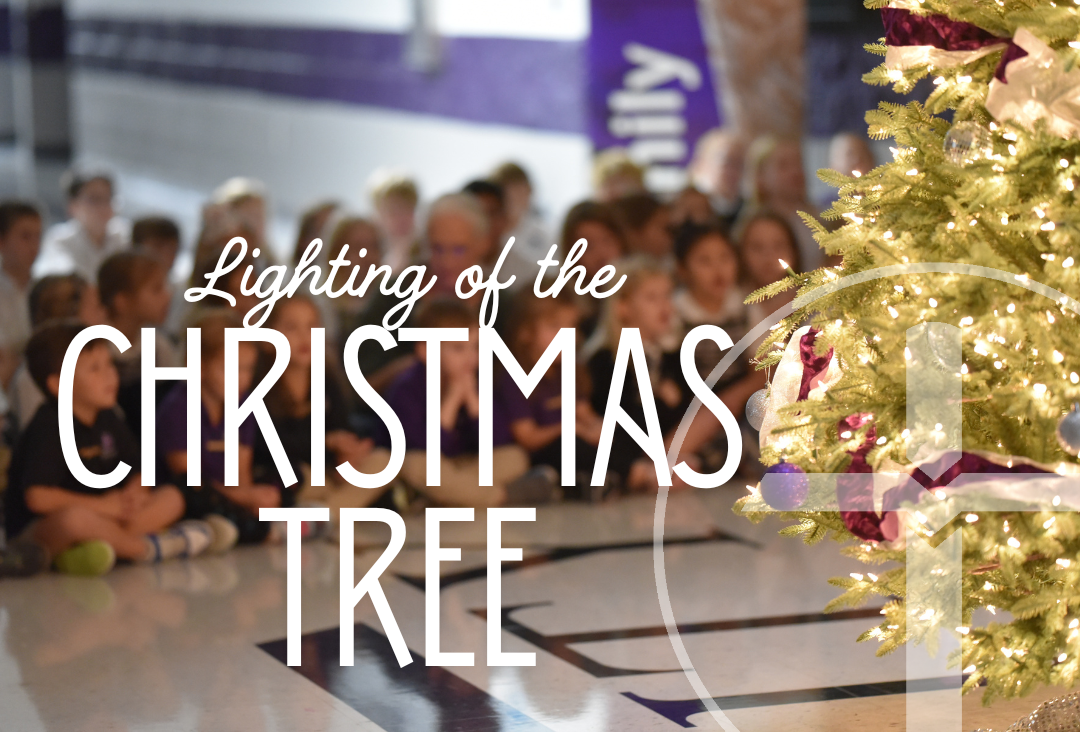 Lighting of the Christmas Tree