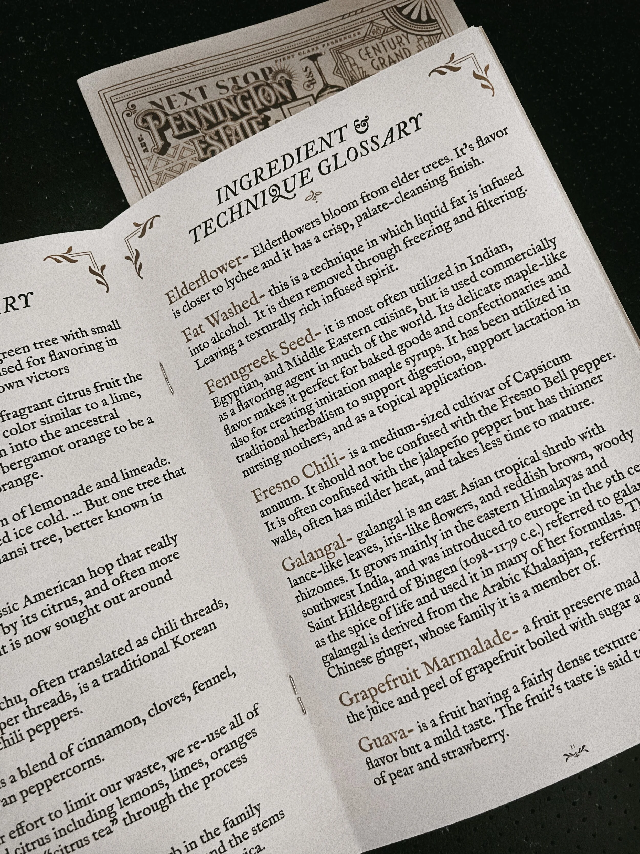 AfterlightImage 4.JPG