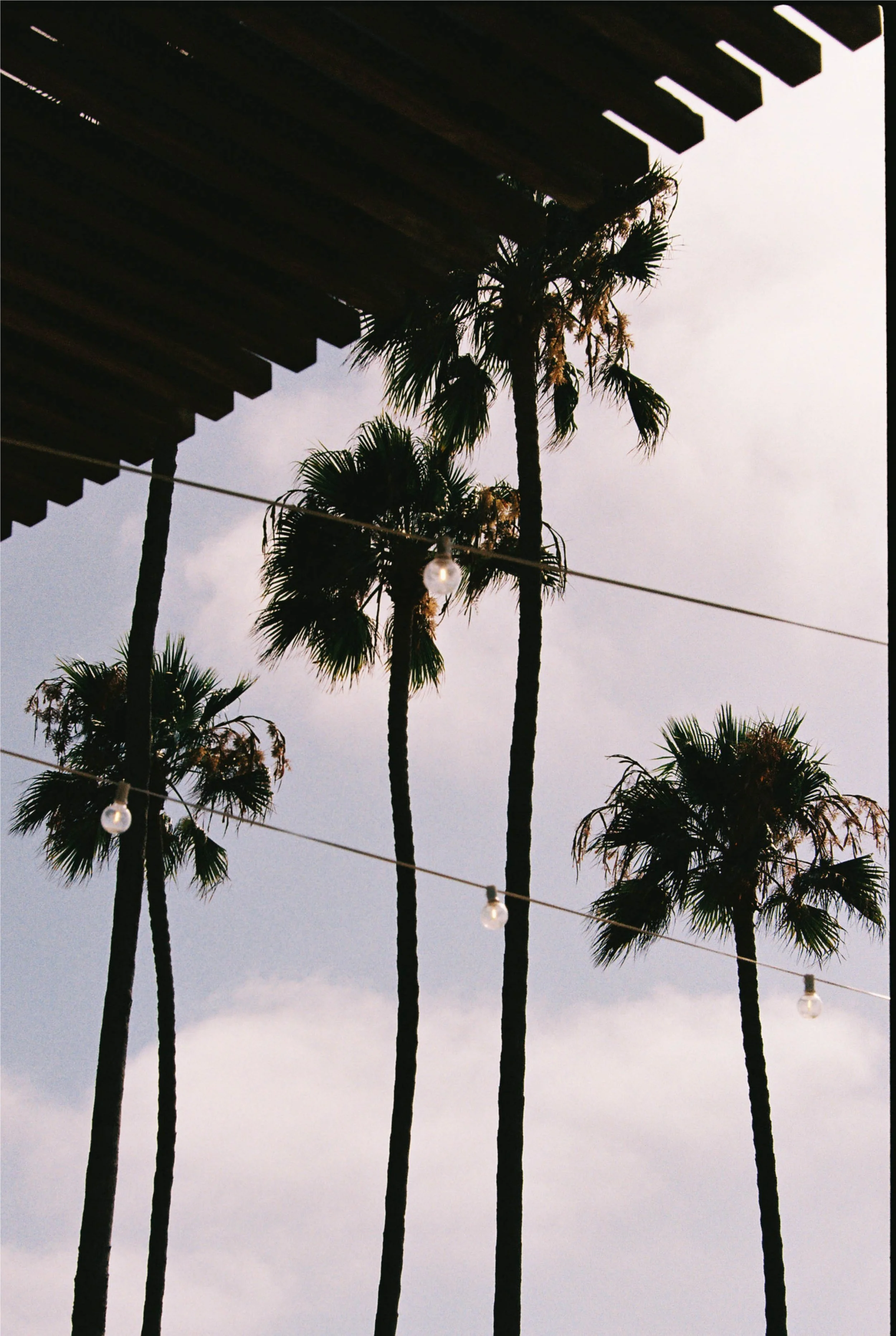 0152154_0152154-R3-053-25.jpg