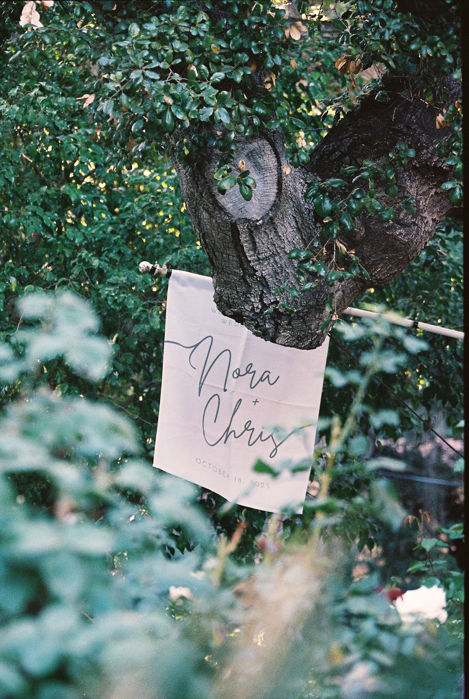 An Intimate Backyard Wedding at the Family Home with Their Baby | Nora &amp; Chris