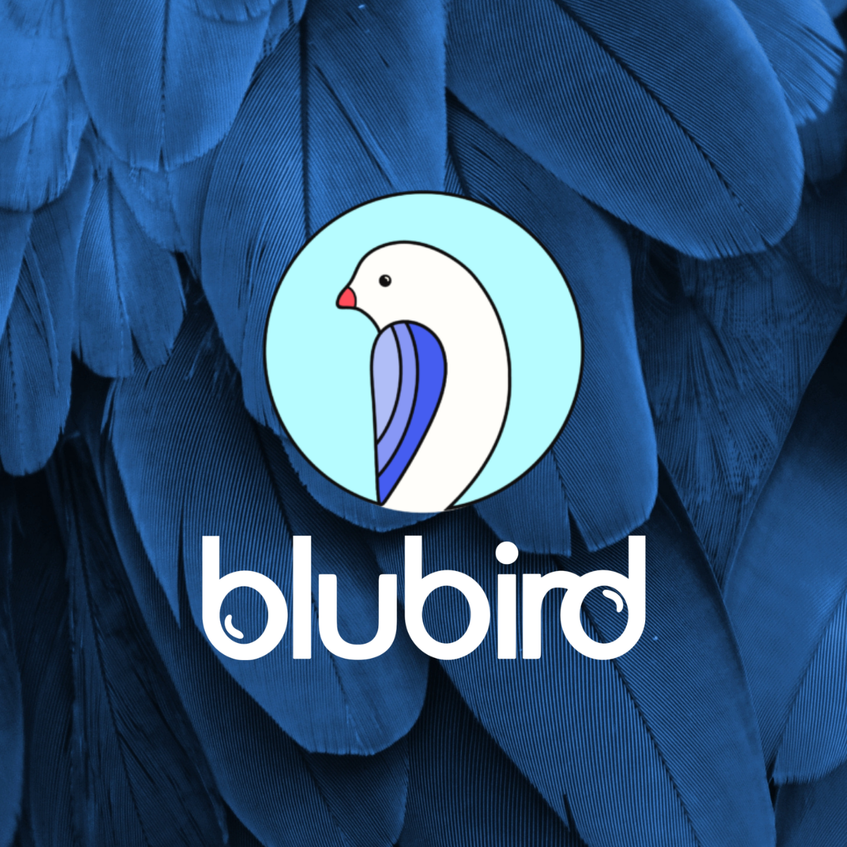 Blubird