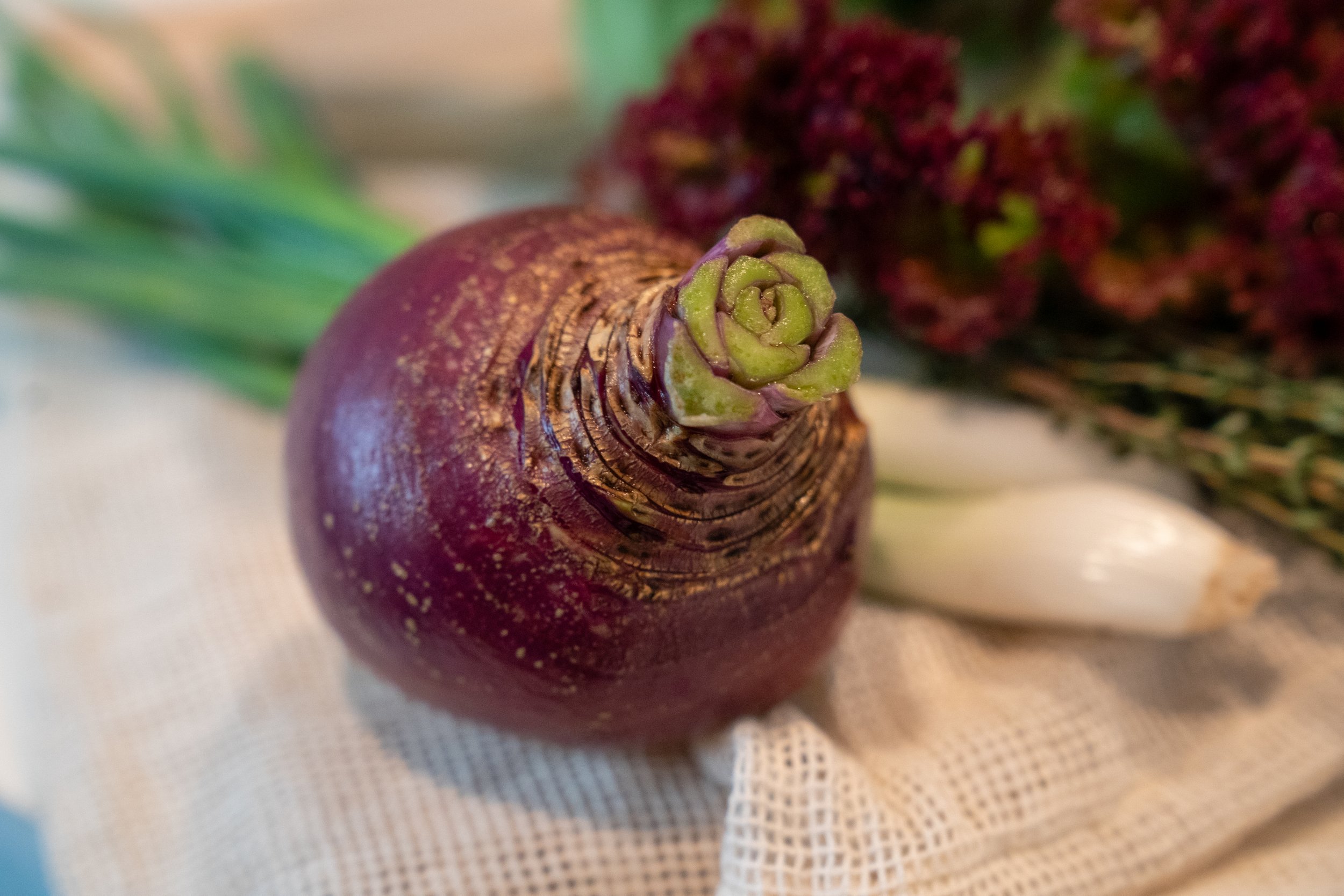 oo csa box-3.jpg