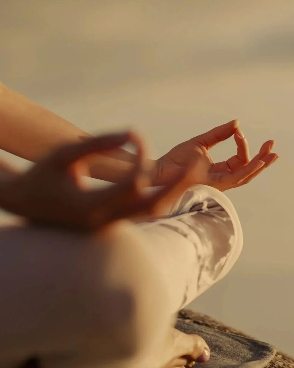 Tuesday Drop-In Meditation W/ Bhante