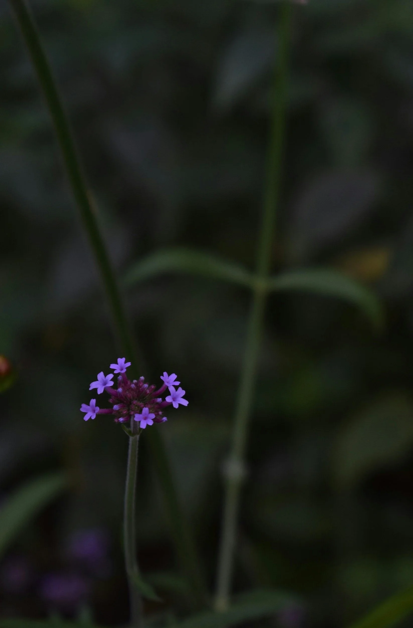 Why Healing Happens in Small, Unimpressive Moments