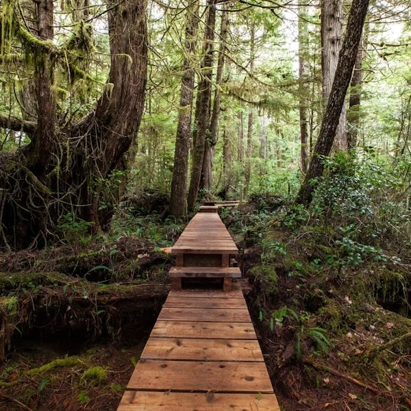 A Few Days at This Retreat Might Be Exactly What Your Nervous System Needs