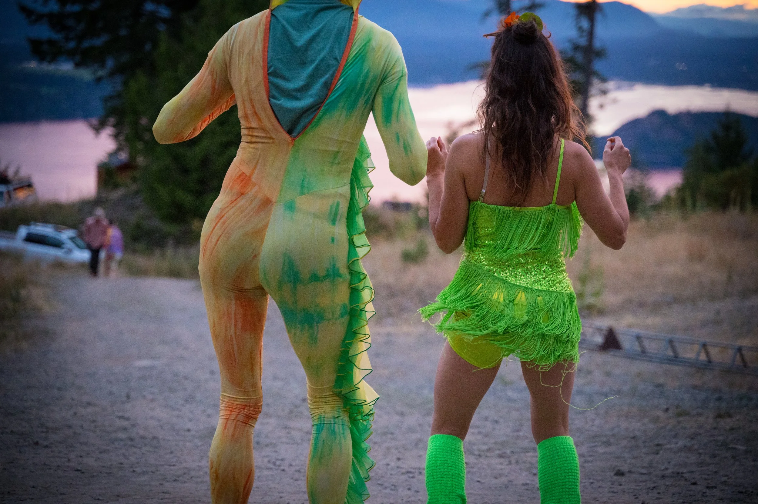Salt Spring Fusion Dance Festival 2027