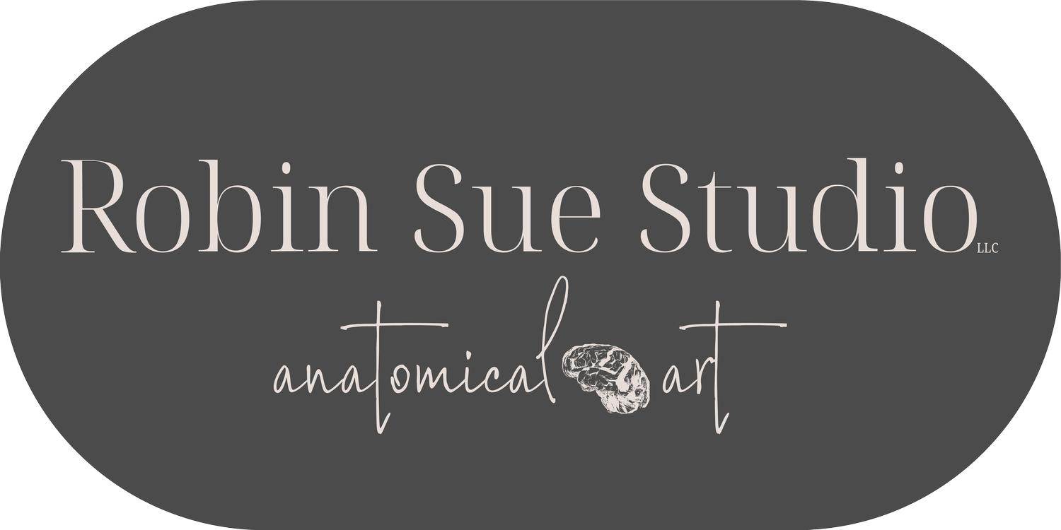 Robin Sue Studio