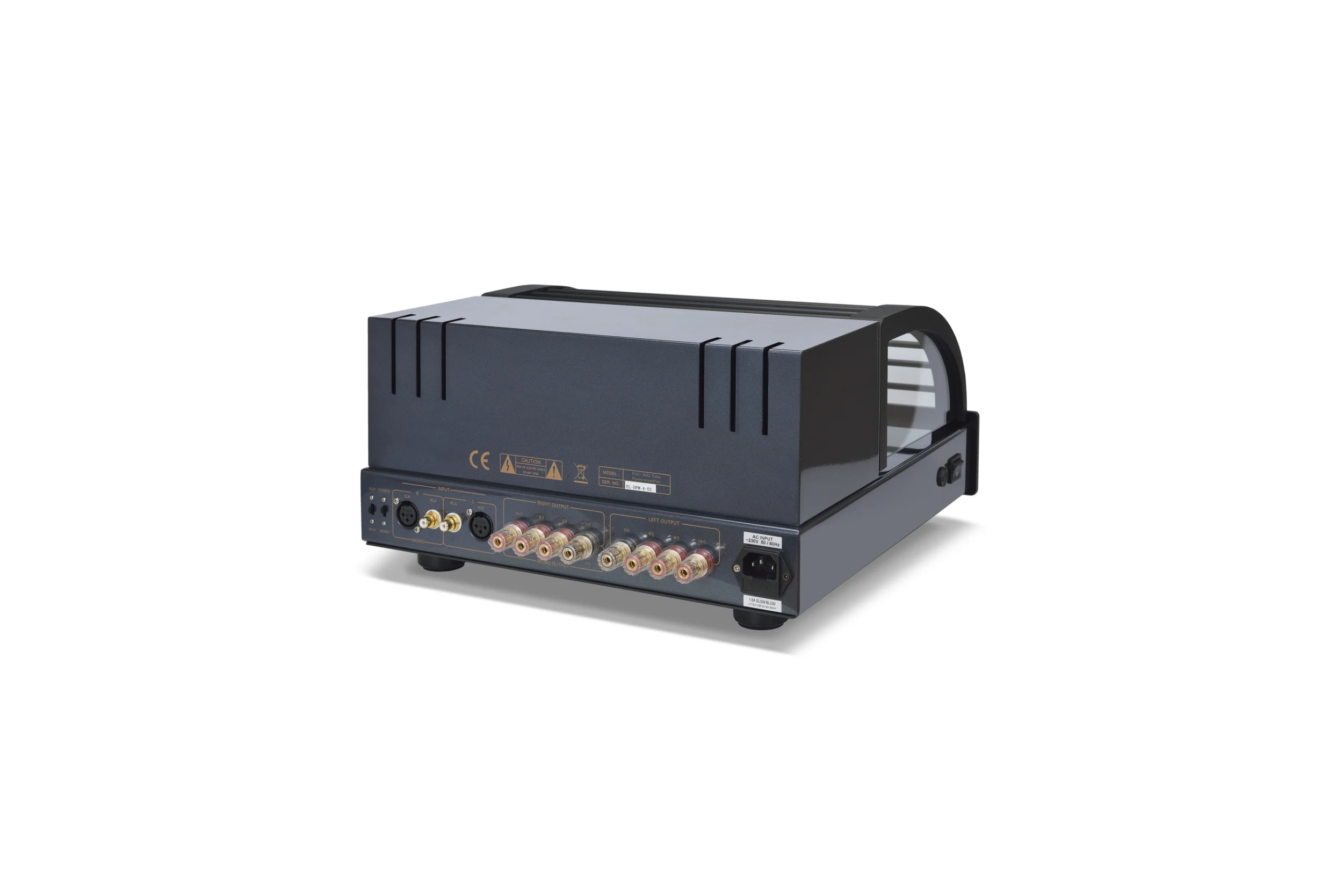 PL EVO 300 Power Amp Back.png
