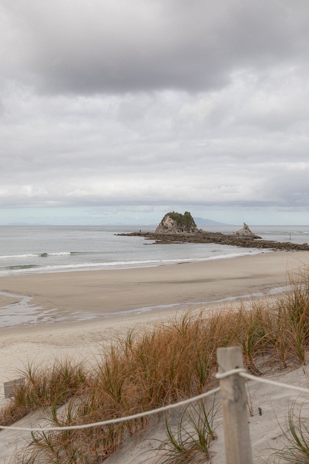 SFS-Mangawhai-September-2026-Lo-Res-653 copy.jpg
