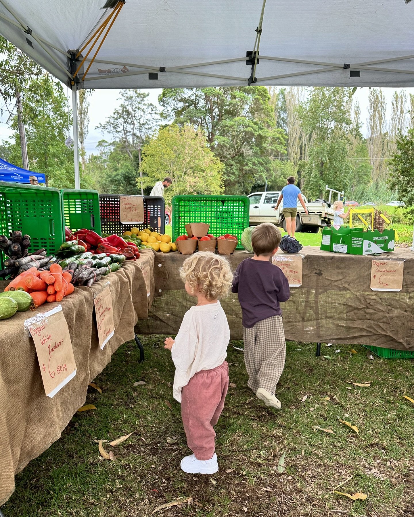 BERRY FARMERS MARKET 🍌 Every Thursday you can grab some local, organic, chemical- free produce from 2-5pm📍Berry Bowling Club 
@berryfarmersmarket