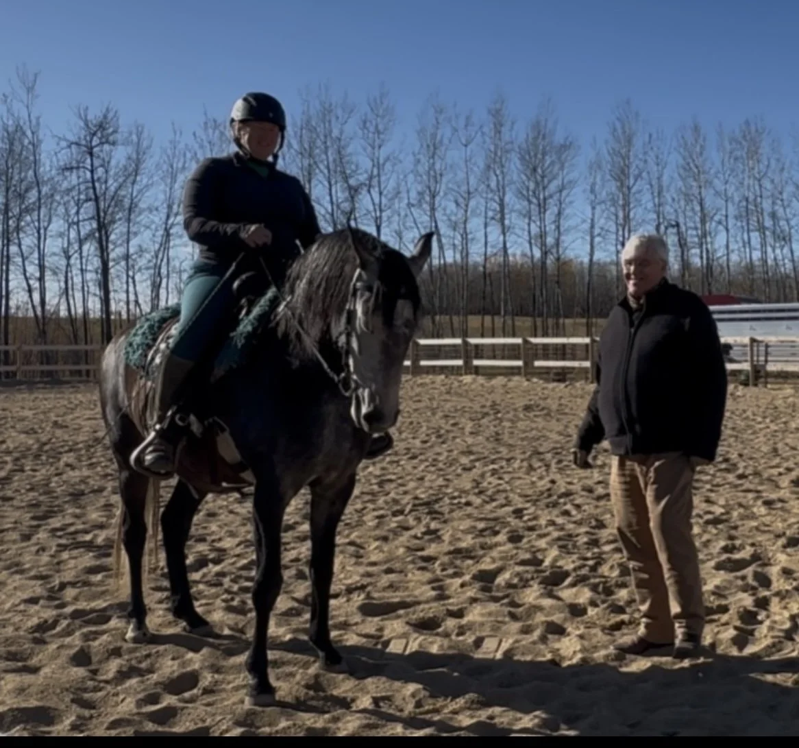 Classical Dressage in the French Tradition