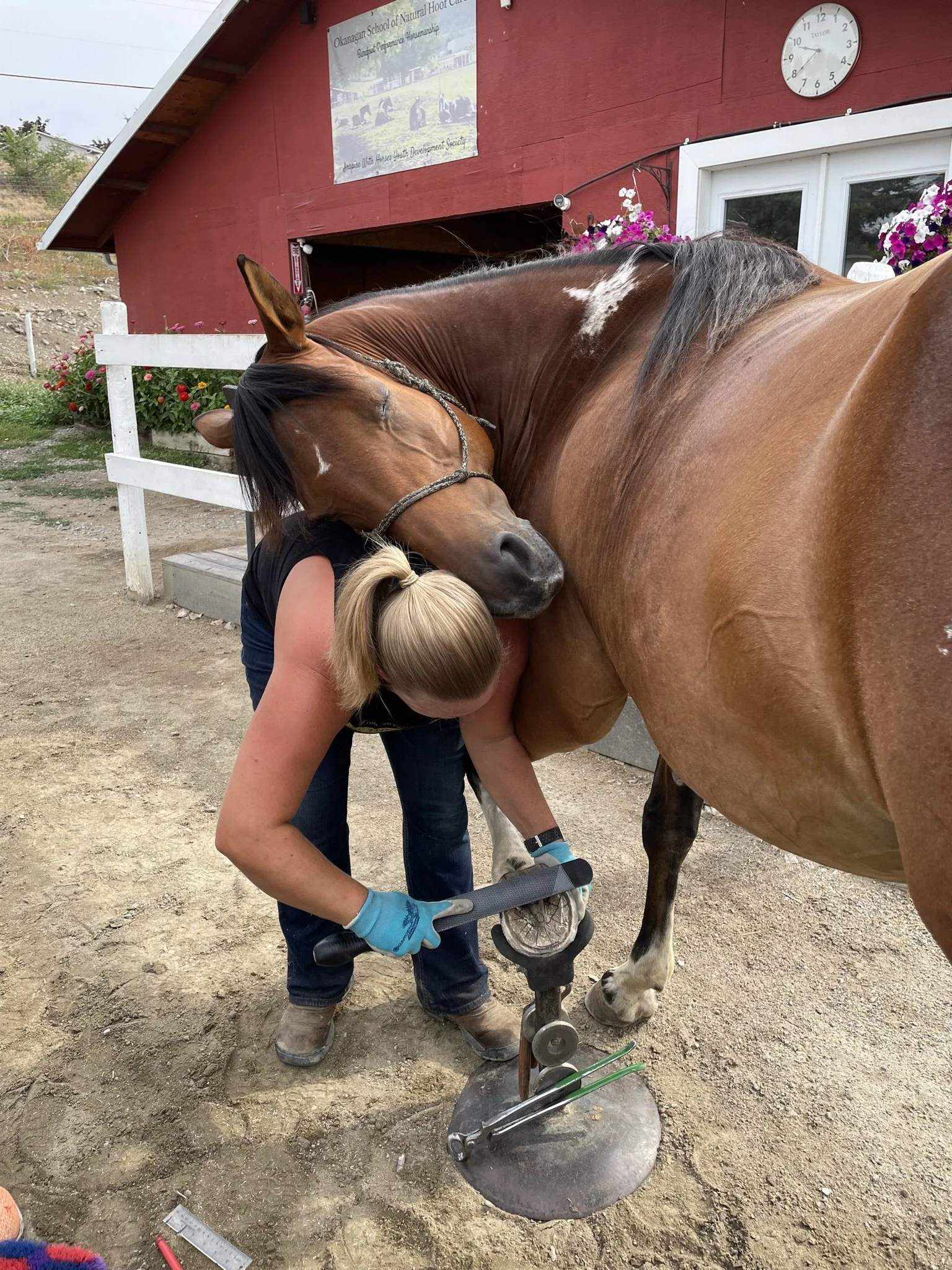 Hoof Trimming School