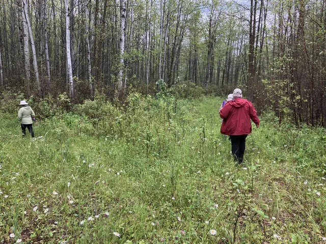 Reflections on a Day of Forest Therapy