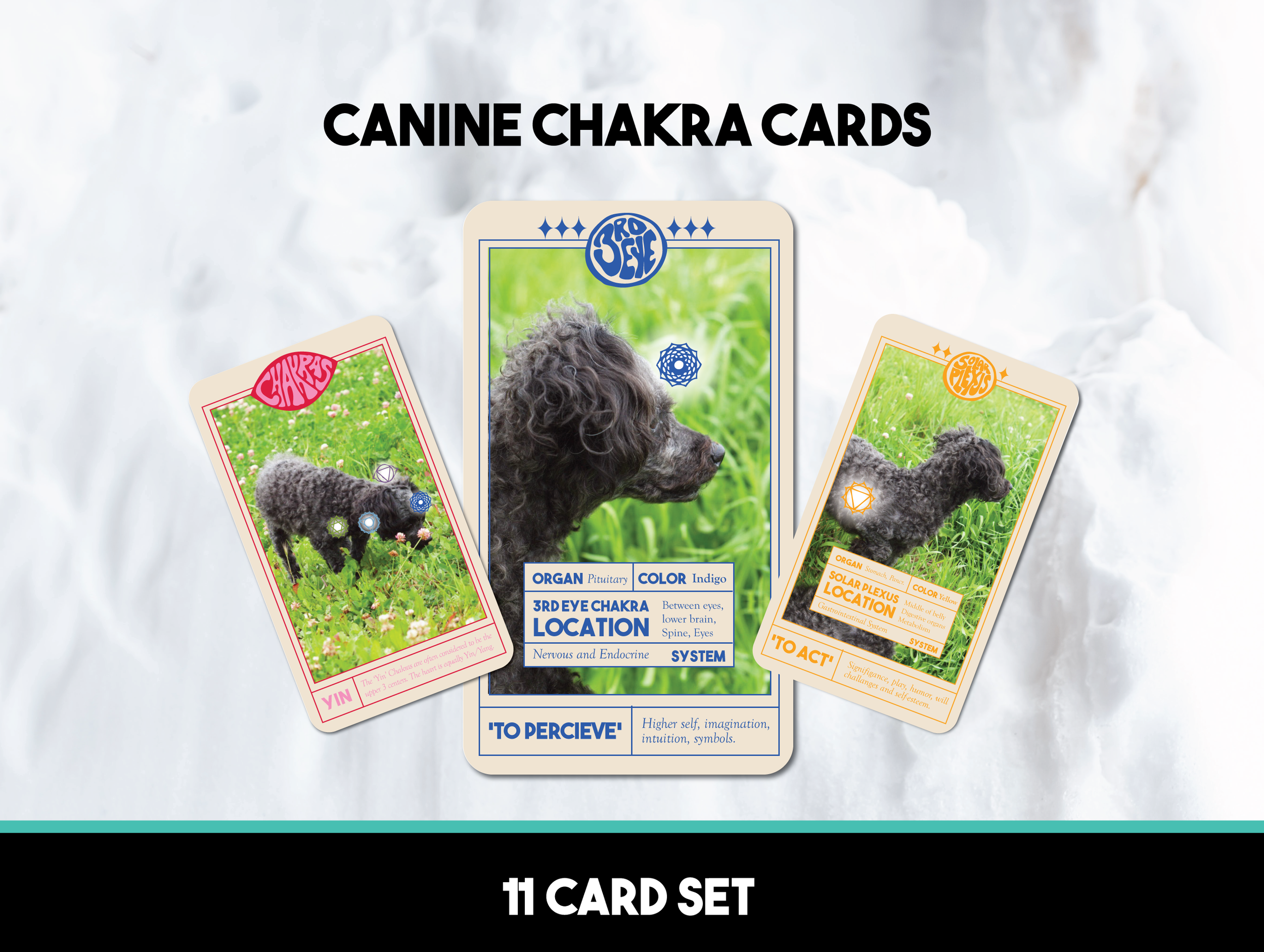canine-cards1.png