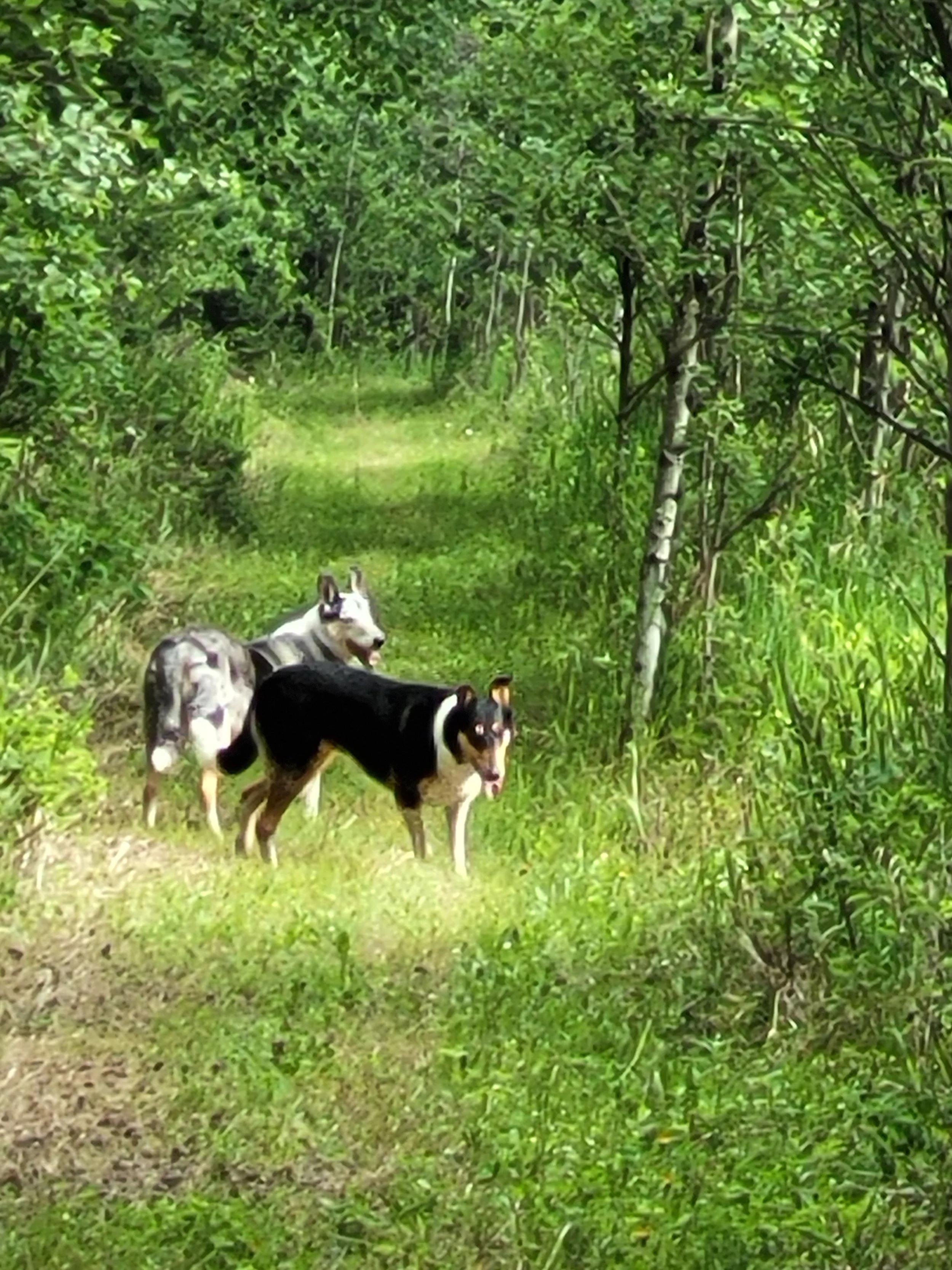 20230604_091143 (1).jpg