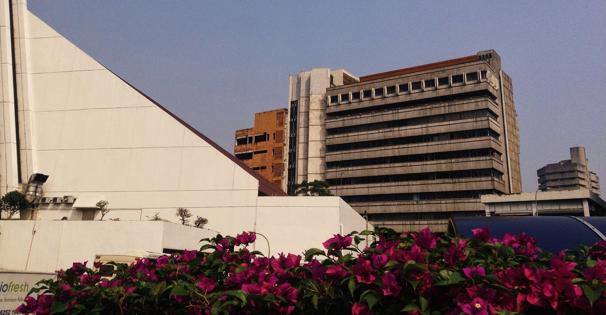 20201125_085031.jpg