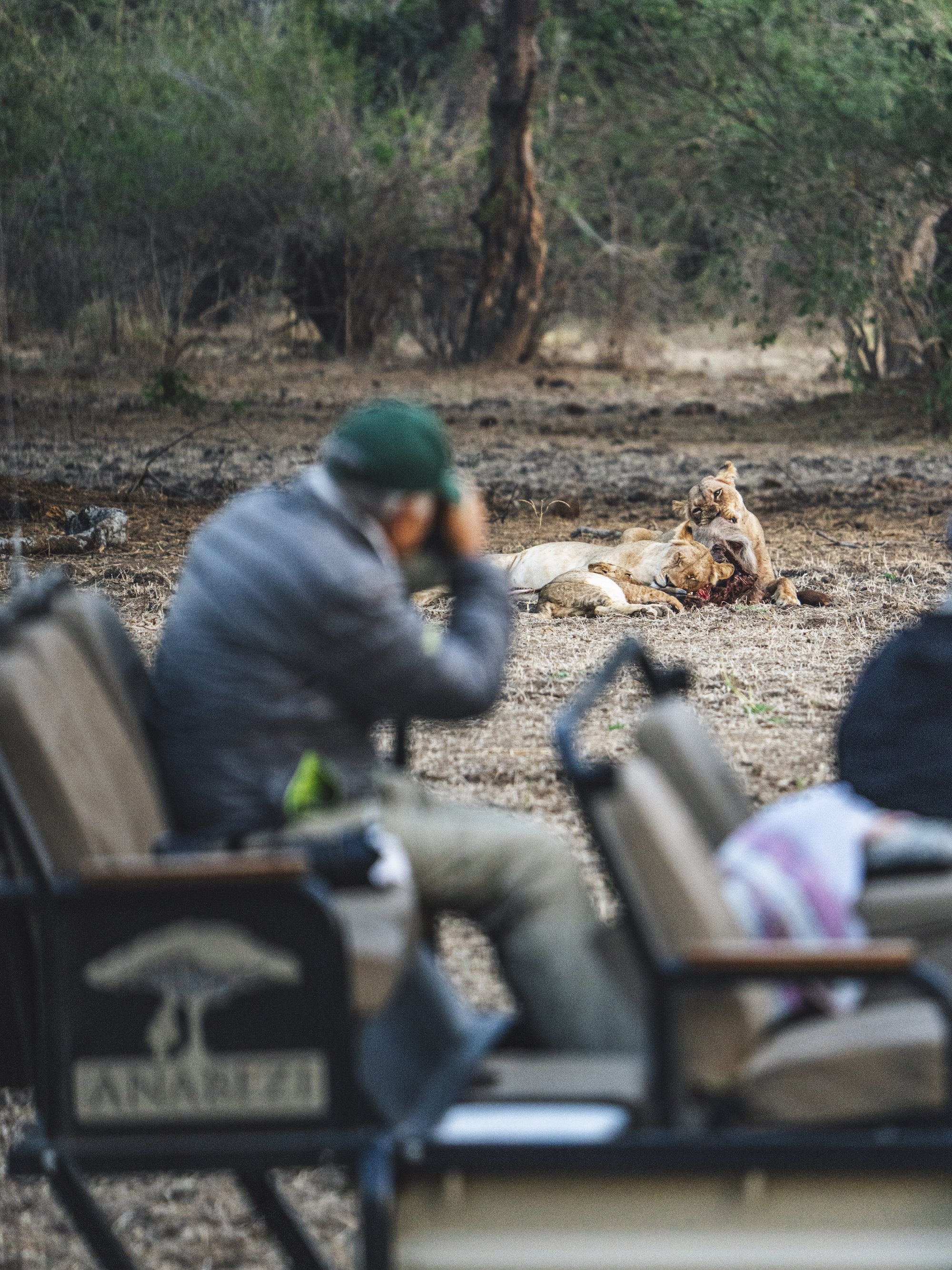 Anabezi's guest photographing wildlife