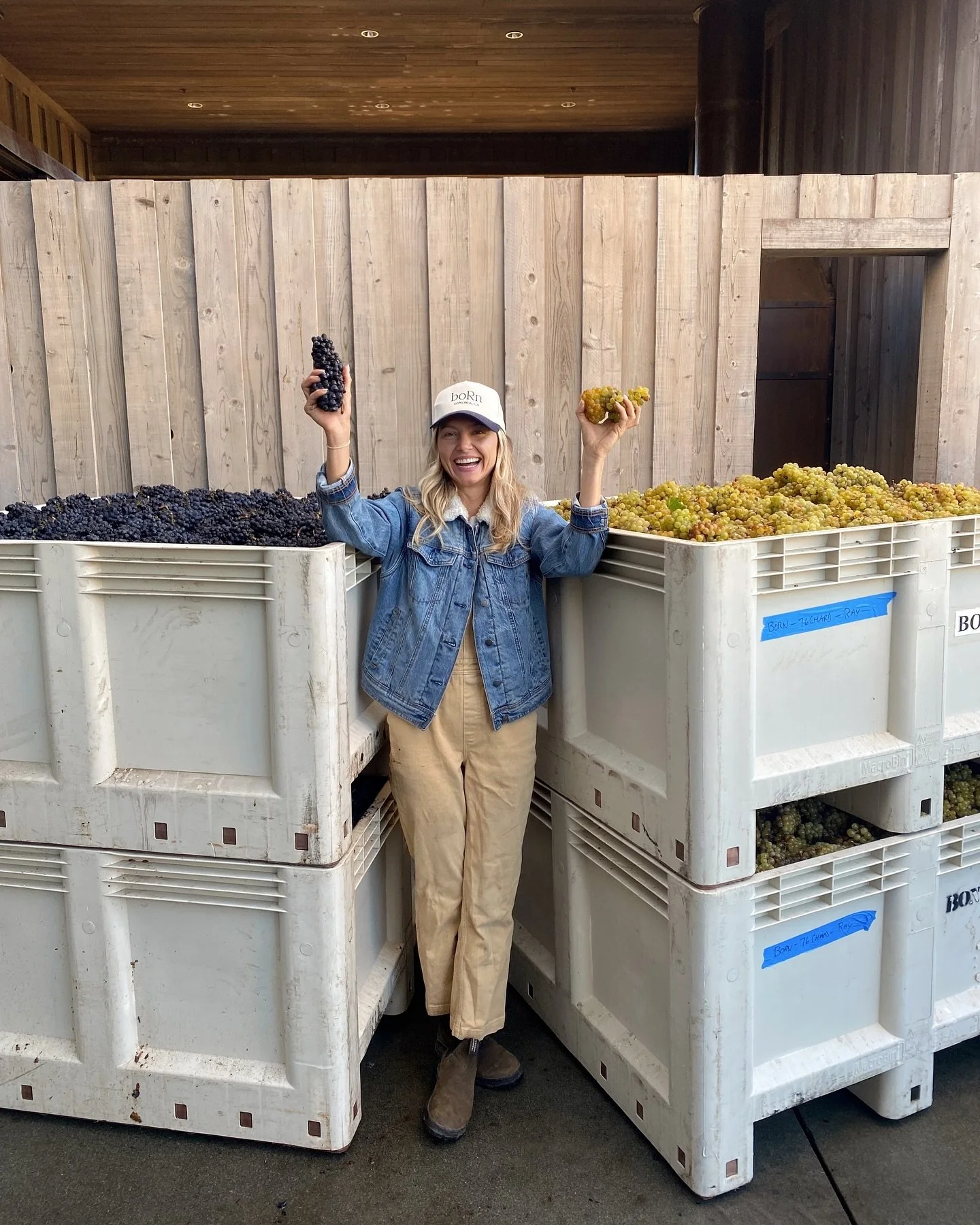 ✨ THIS IS HARVEST 2024!✨

I can hardly believe that September 27 marked Vintage #4 for Born! It feels like just yesterday I crafted my very first wine, and I am beyond grateful to wake up every day doing what I love. 

This year, I&rsquo;m doubling m
