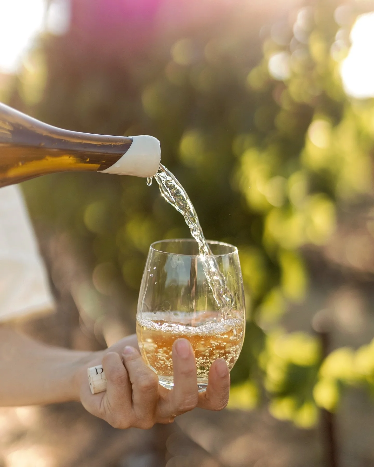 Fall is here and the wine is flowing. Stock up before the holiday season begins 🧡 

Link in bio to shop.