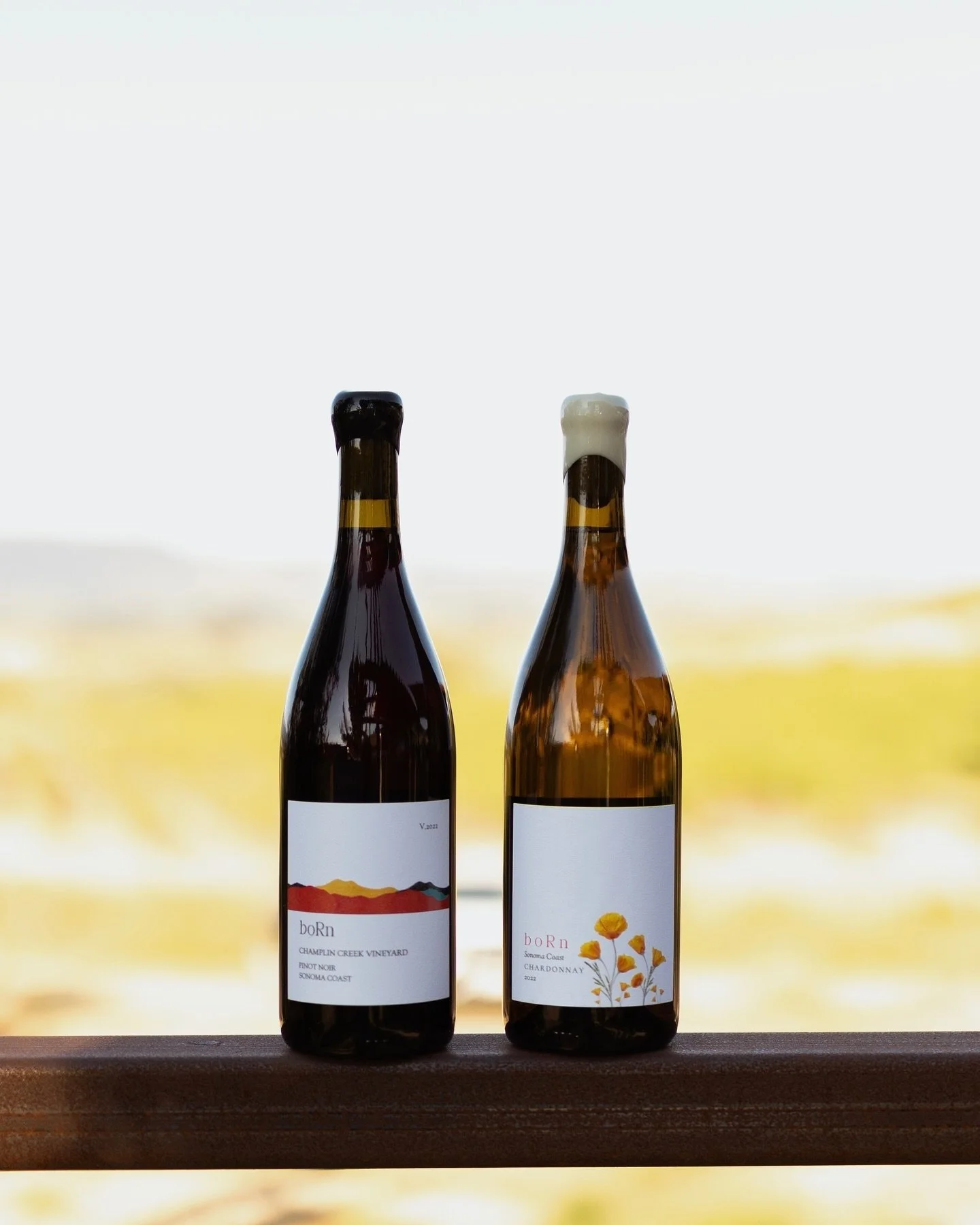 Enjoy 20% off all wines now through Dec 31, automatically applied at checkout. Just in time for the holiday season to gift or share with loved ones. Visit the link in my bio or DM me to shop. I&rsquo;d love to share my wines with you! ❤️🫶