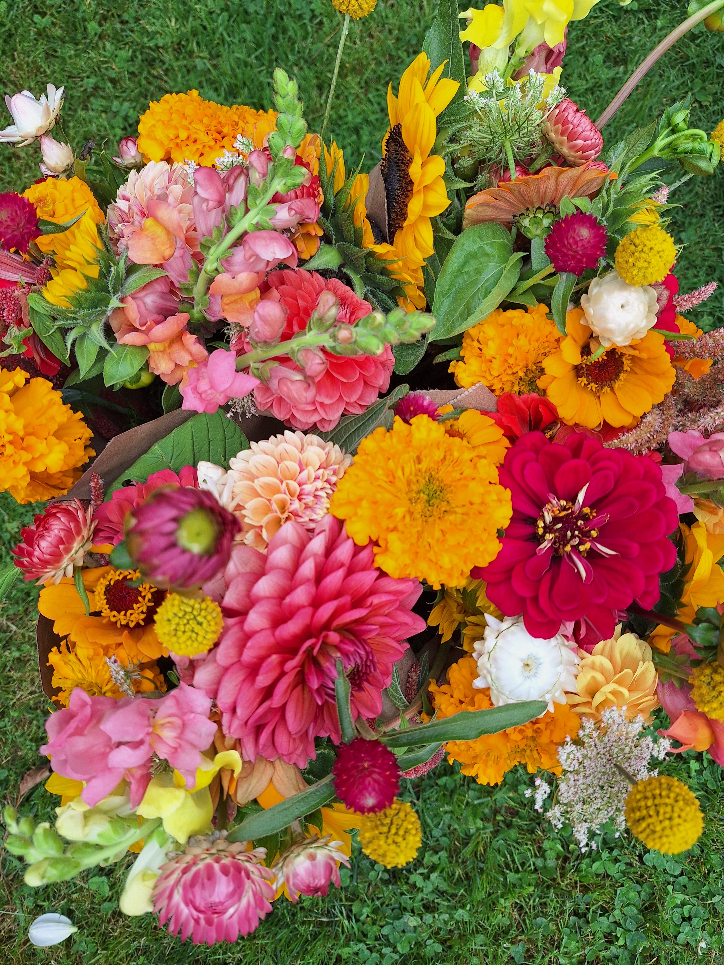 Summer Breeze Bouquet Subscription