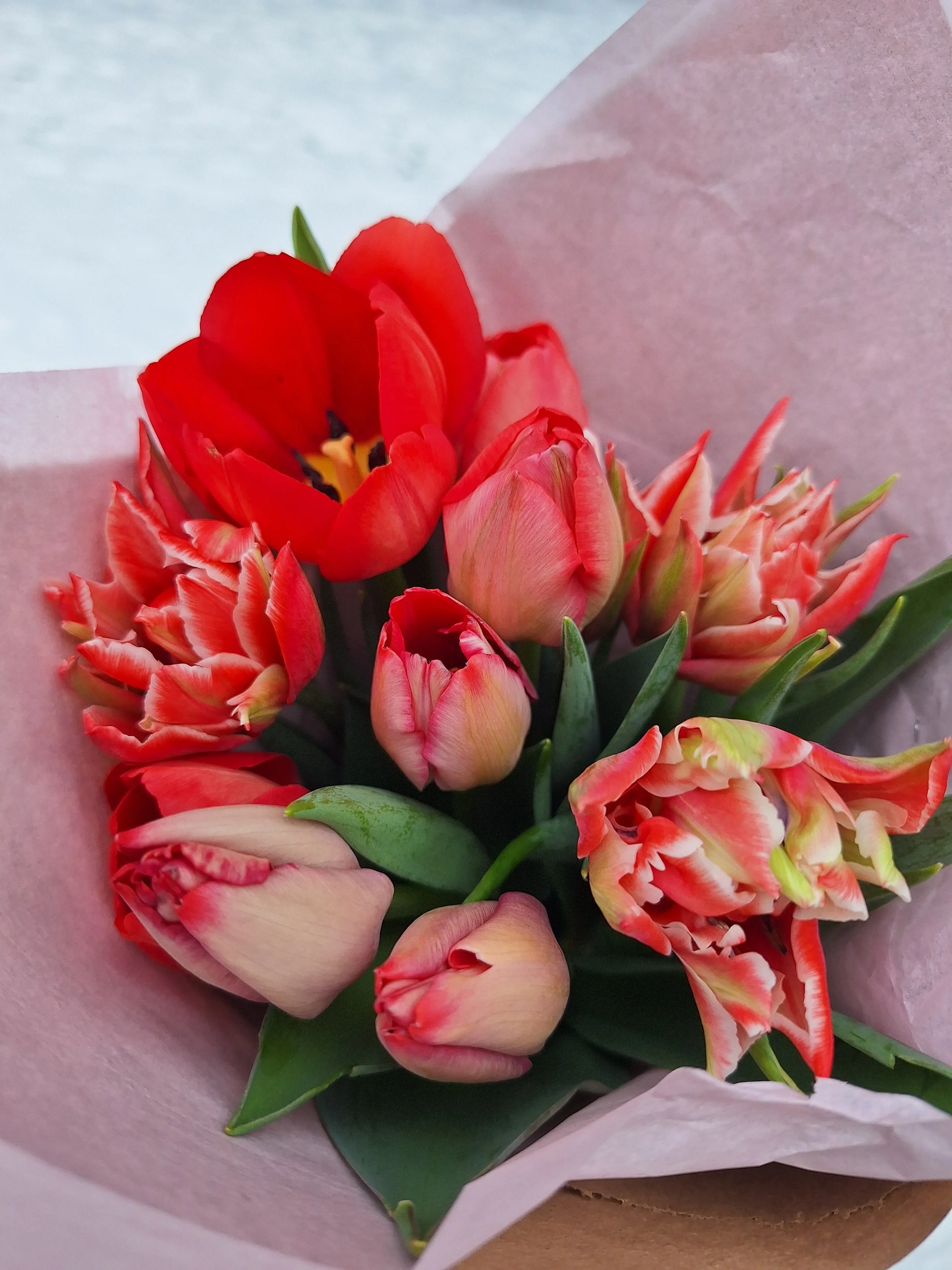 Valentine Tulip Bouquet