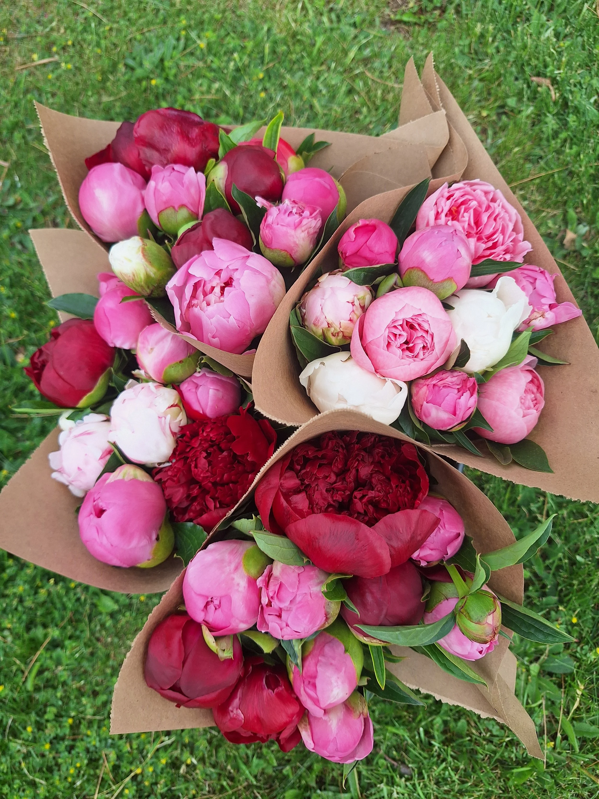 Peony Bunches