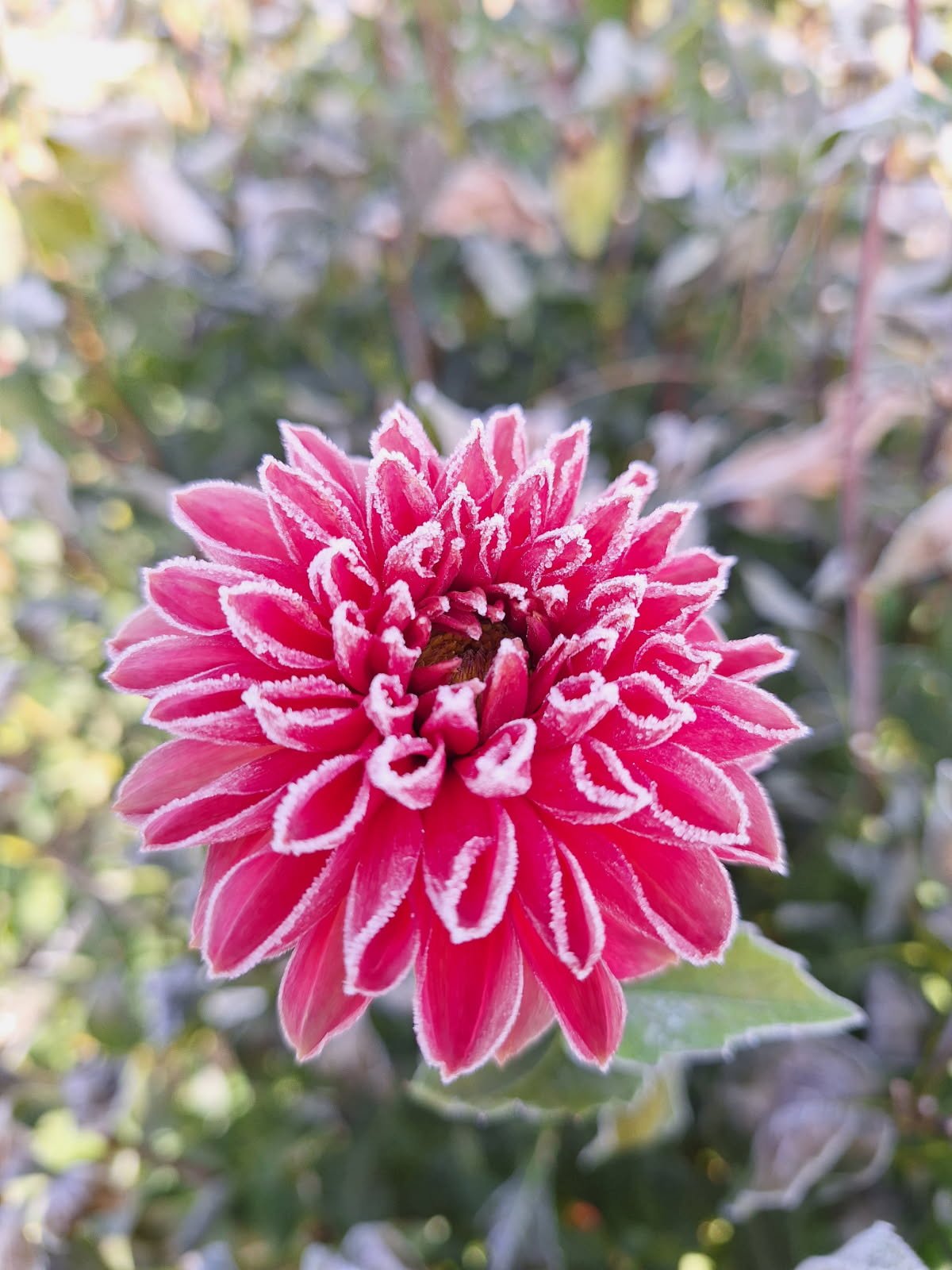 image000000 (95).jpg