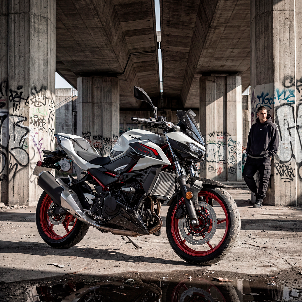 Z500.png