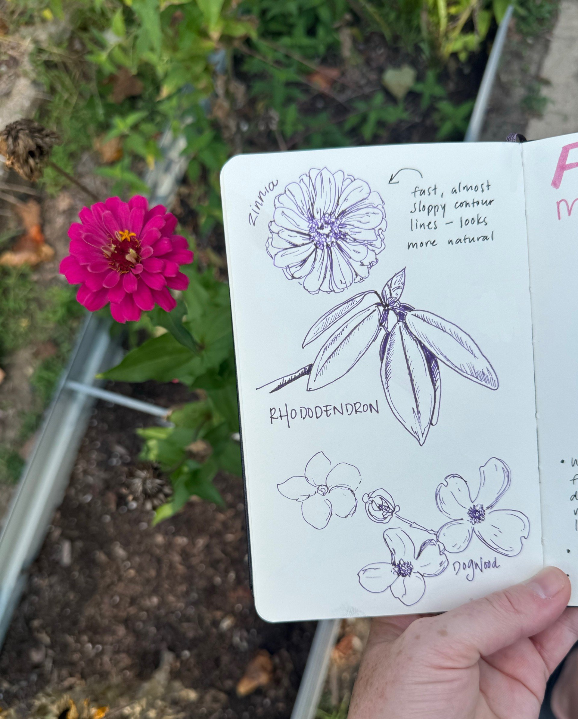 POSTPONED: Nature Journaling with the Roaming Naturalist and Valley View Preserve