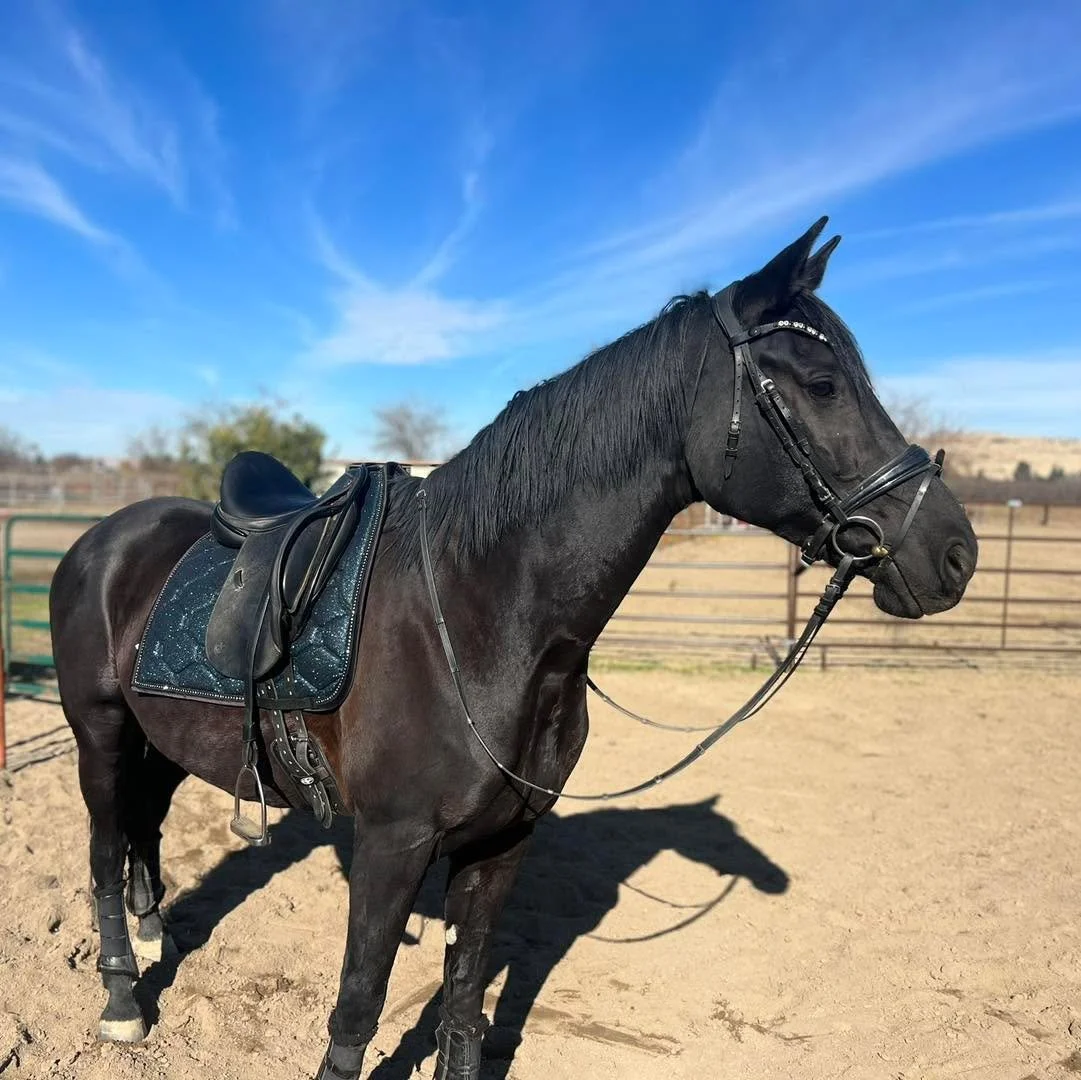 For those that have been waiting for intro lesson availability - we have a select few Thursday/Friday mornings open for November/December! 

Send us a message for booking details. Spots fill FAST and are first come/first serve, so don&rsquo;t wait!