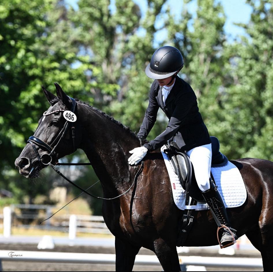 Amazing article from The Plaid Horse. This is exactly why our program includes so much groundwork - taking time to develop relationships with our partners, learning the incredible nuances of the sport in the process. 

Ask Dr. Holly Helbig what she w
