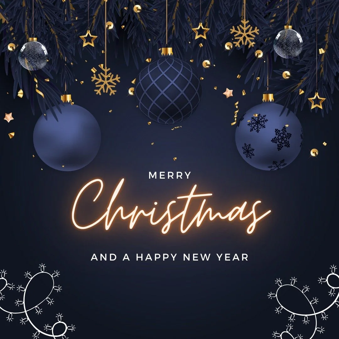 Wishing everyone. horse and human, a Merry Christmas 🎄