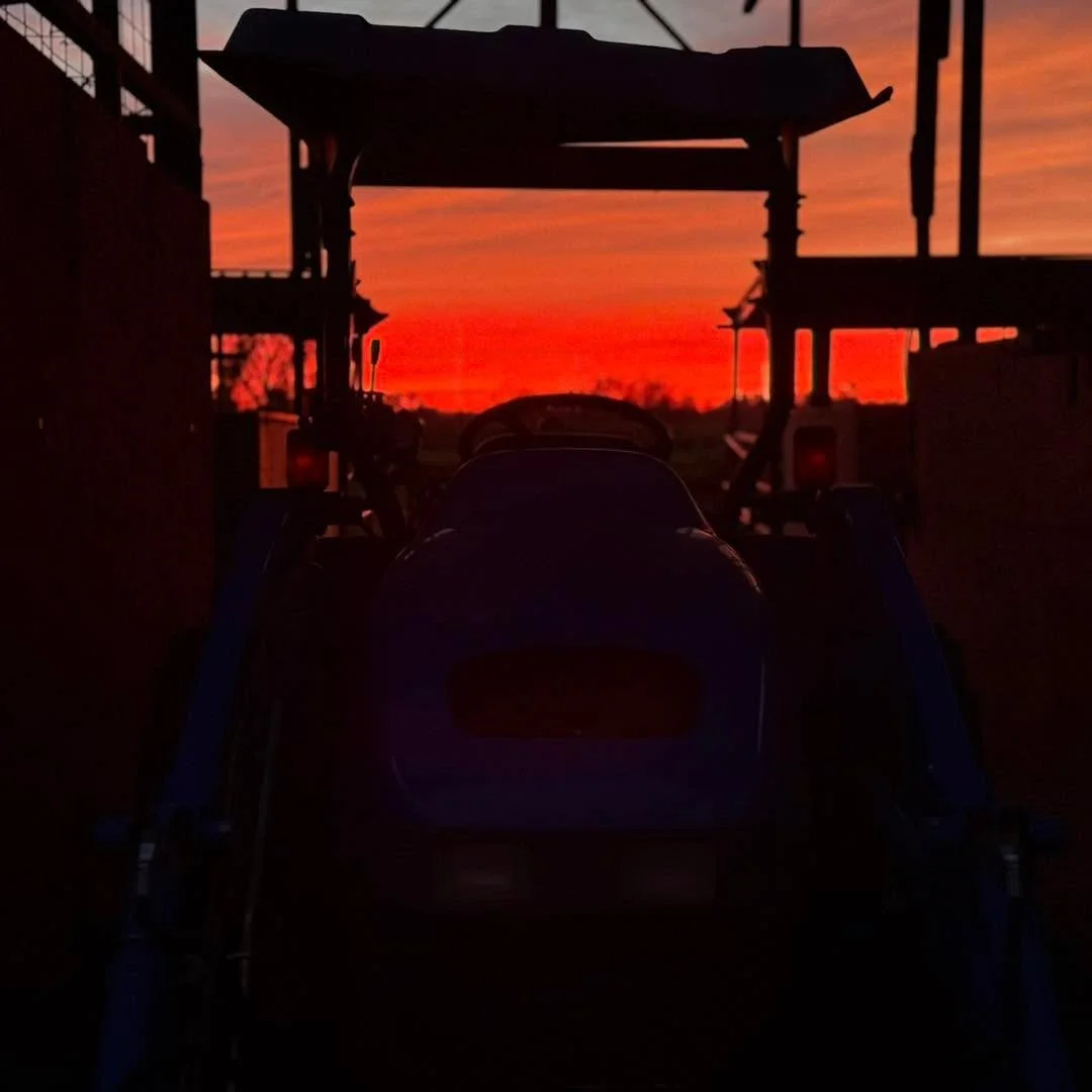 First sunset of daylight savings 🌅 we are SO excited for more sunshine hours!