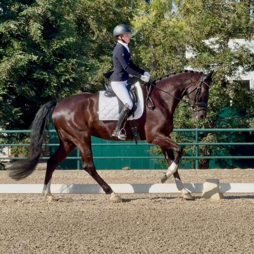 We are back at the barn after a great show weekend - and gearing up for a toasty week of lessons ☀️

With temps in the 90s most of the week, PLEASE remember to hydrate before and during lessons! Horses will also be getting extra electrolytes and cold