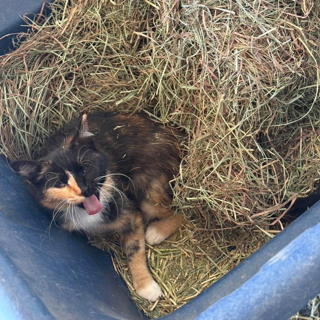 Caught napping on the job 🥱