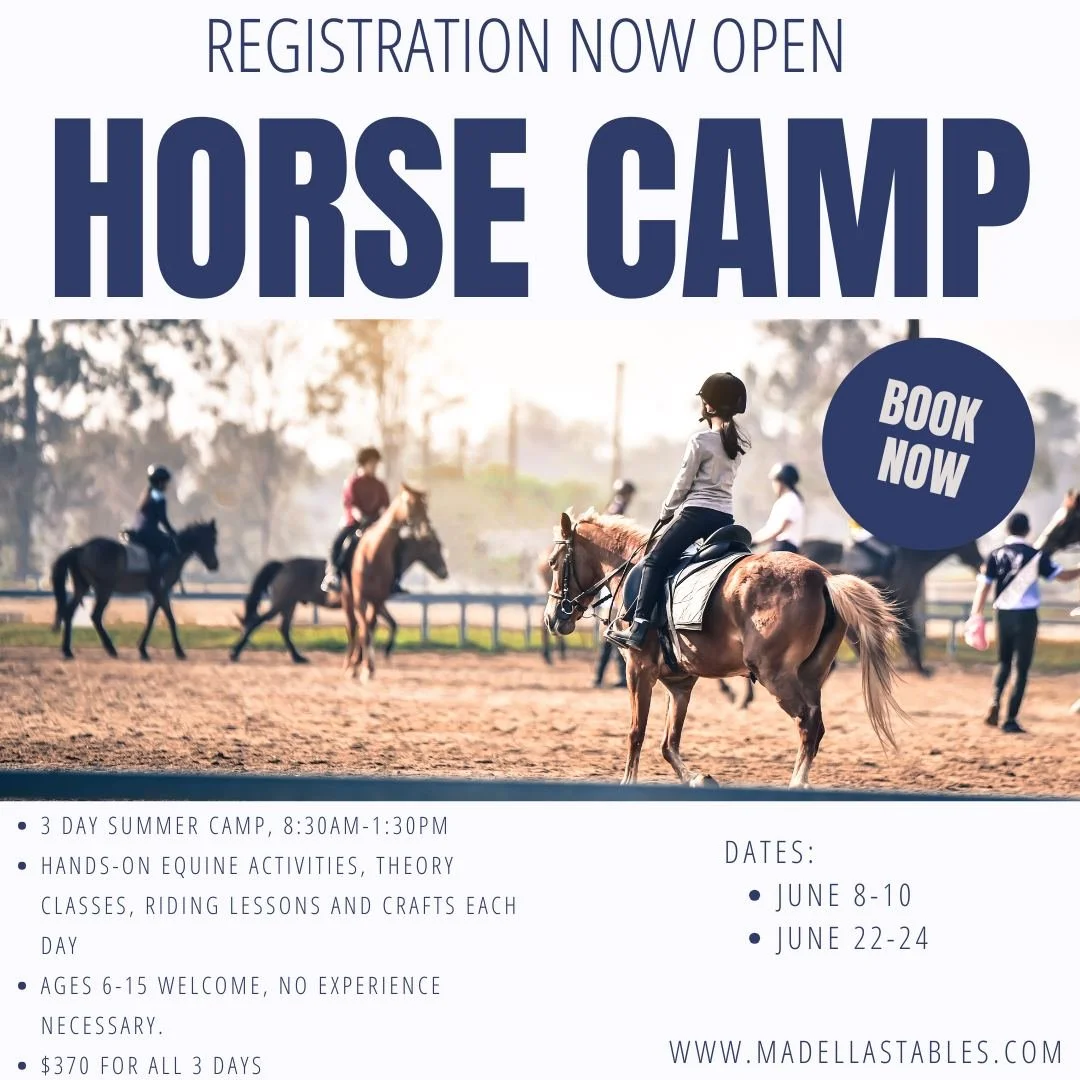 Last chance to sign up for 2026 Horse Camp! We have a couple of spots left for each week, and will be closing sign-ups soon. Each day is filled with riding, horsemanship activities, barn management, crafts, and more - no experience required. Send us 