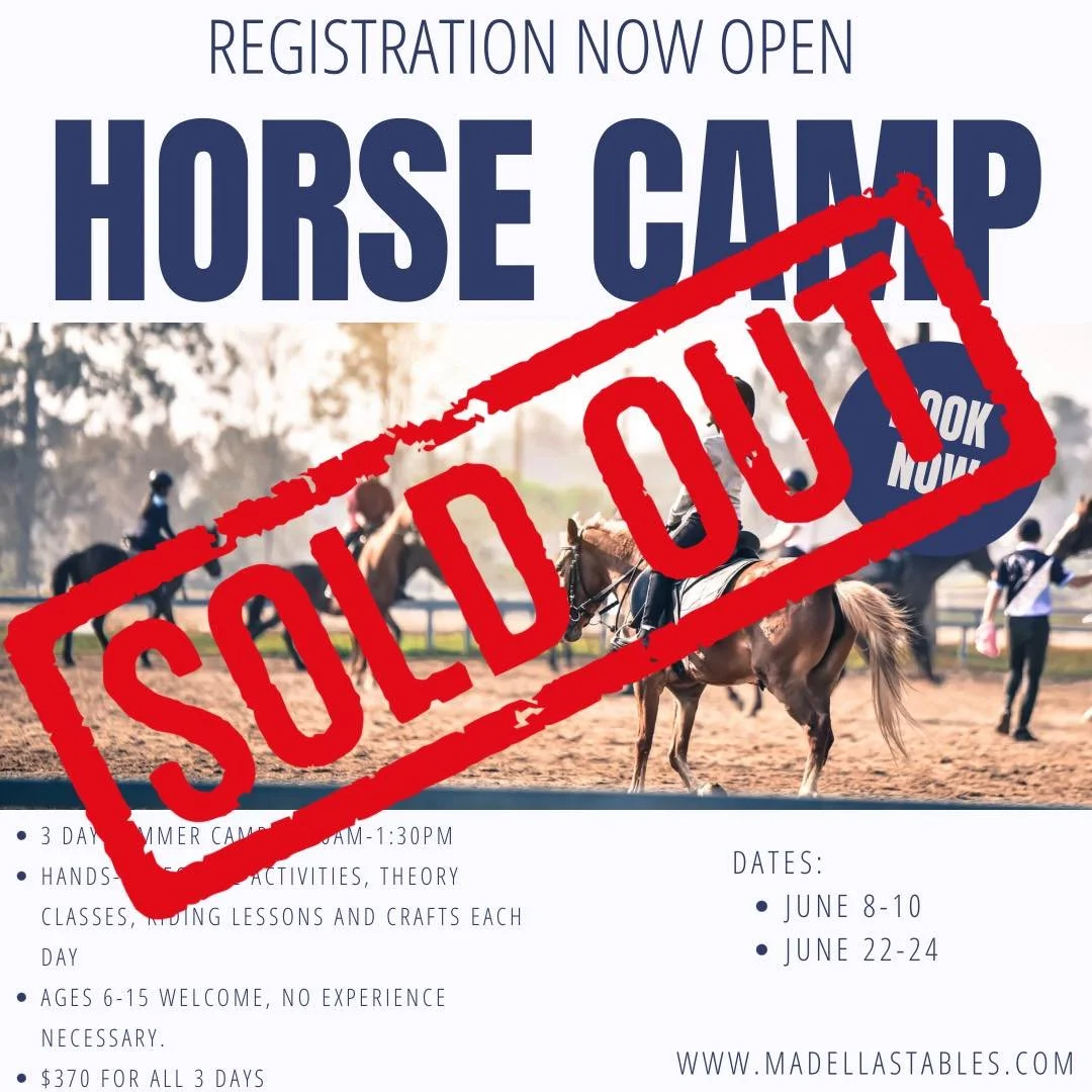 Summer 2026 officially kicks off TODAY!! We have beautiful weather ahead for the first camp of the year. Both camps are sold out, but we do have a handful of spots left for introductory lessons over summer for those who would still like to ride. Head