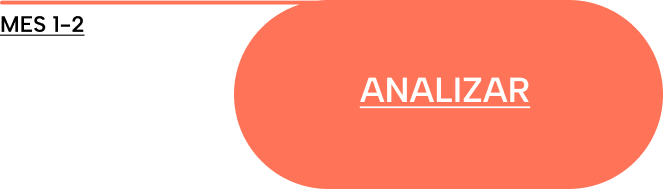 Botón con el texto 'Analizar' en un fondo naranja coral.