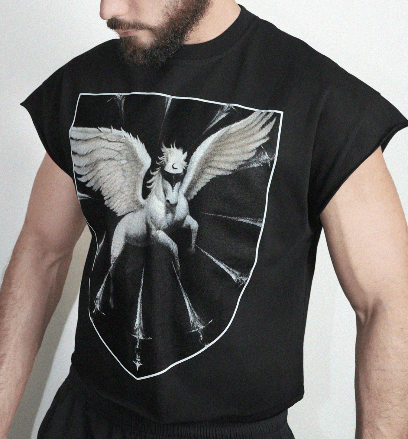 Pegasus Ov Box Body-min.png