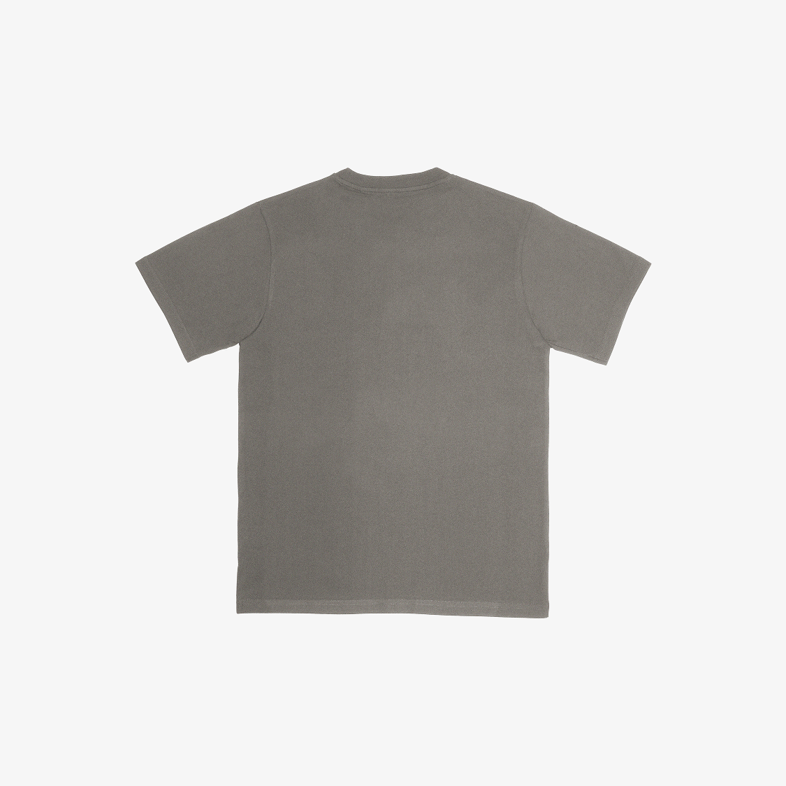 RGL RVR Grey Back.png