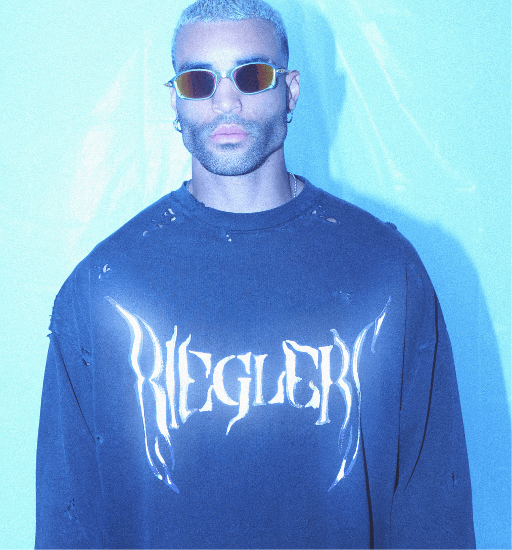 Bull Archive LS 6-min.png