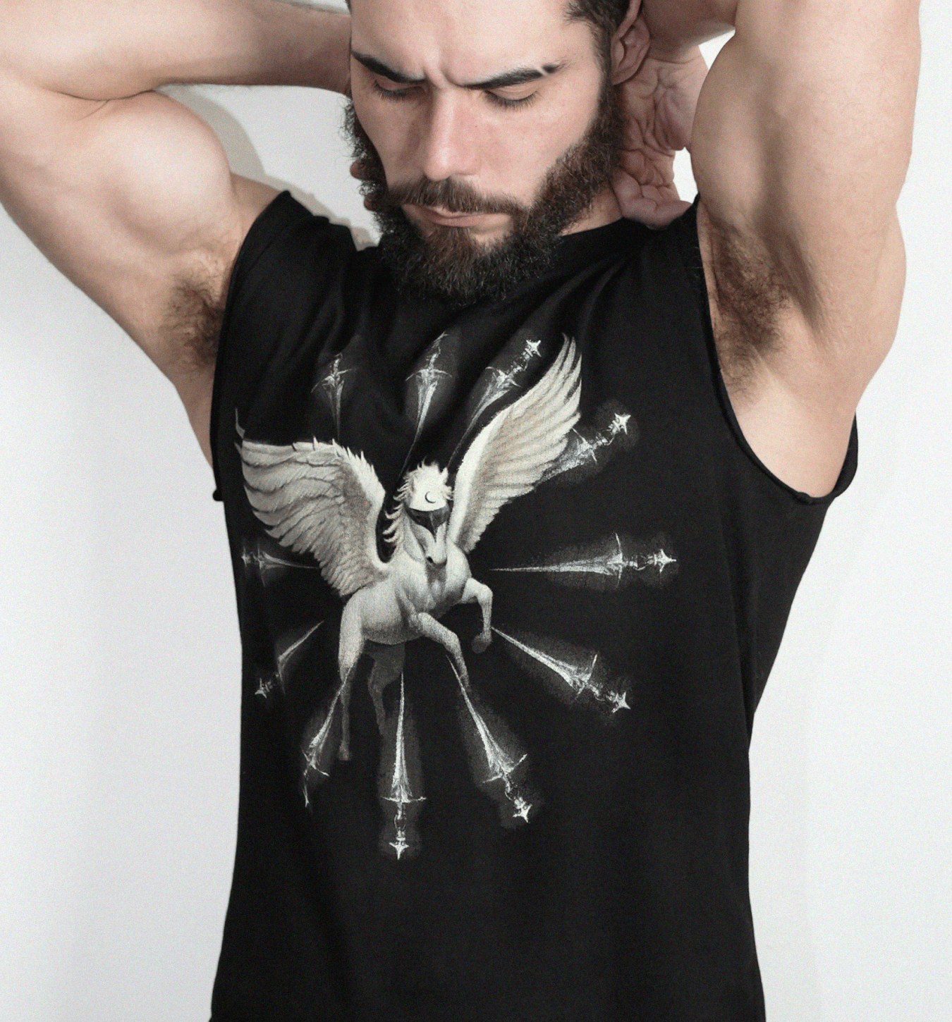 Pegasus Fit Body-min.png