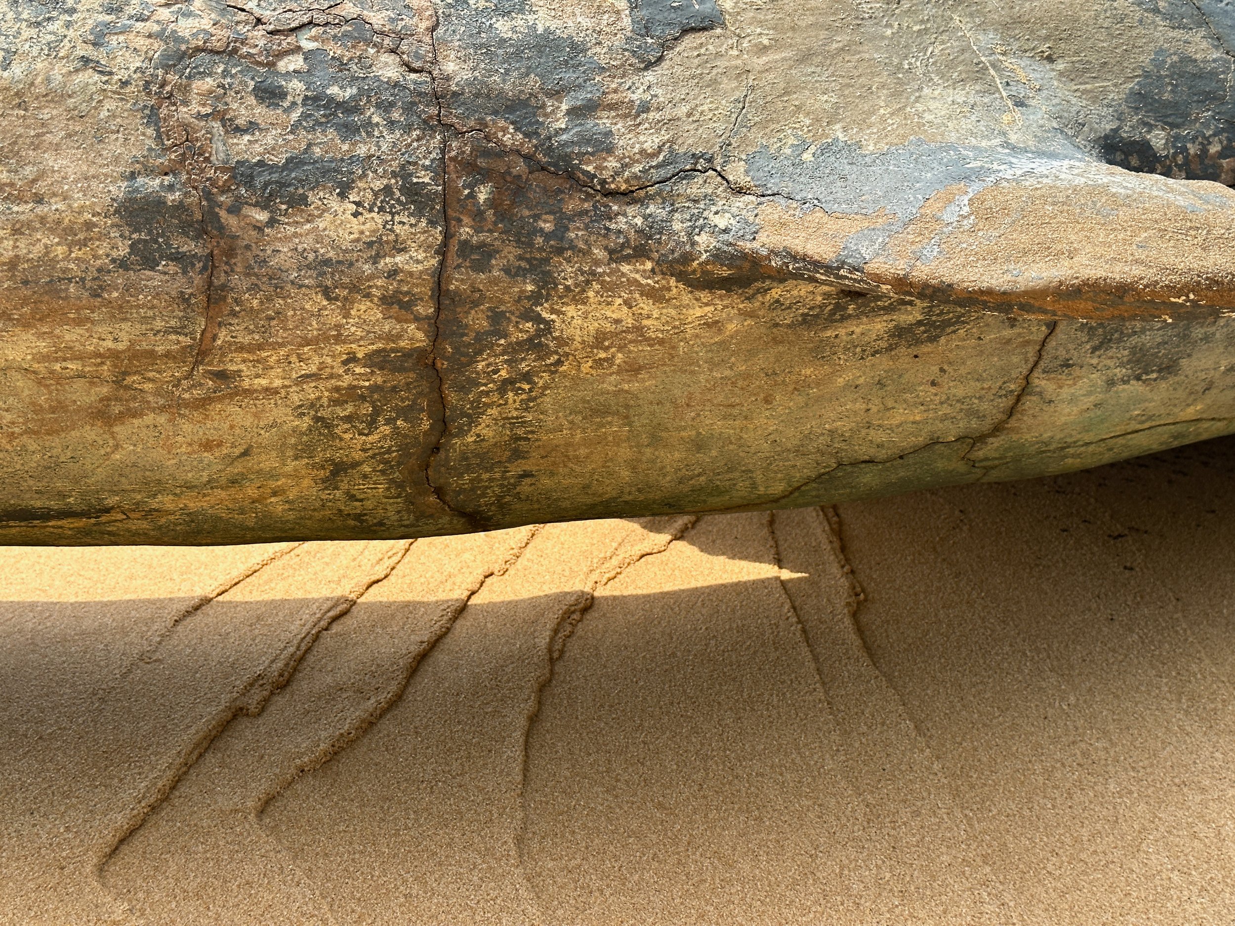Beached_3047.jpg
