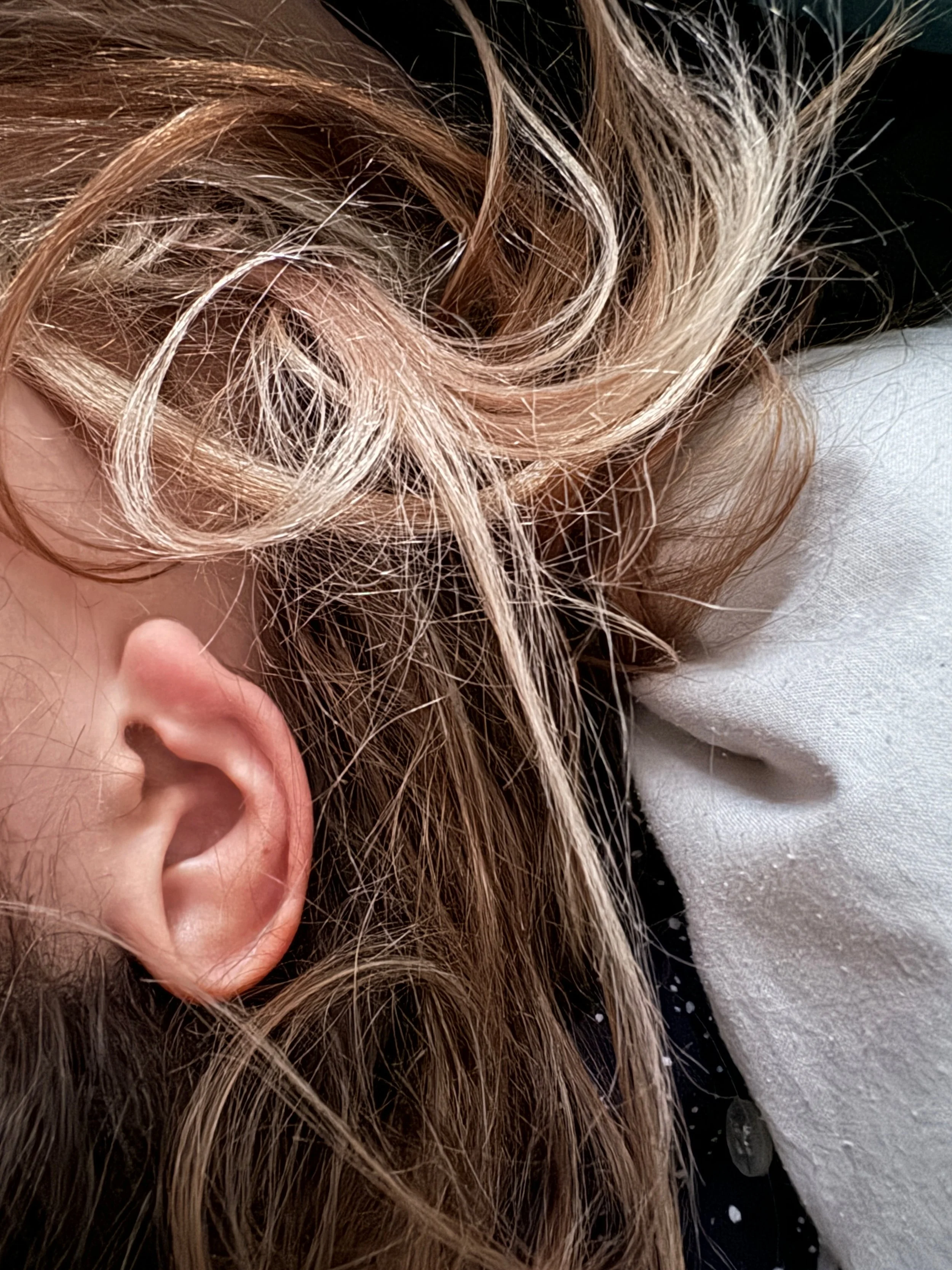 Supple Ear.jpeg