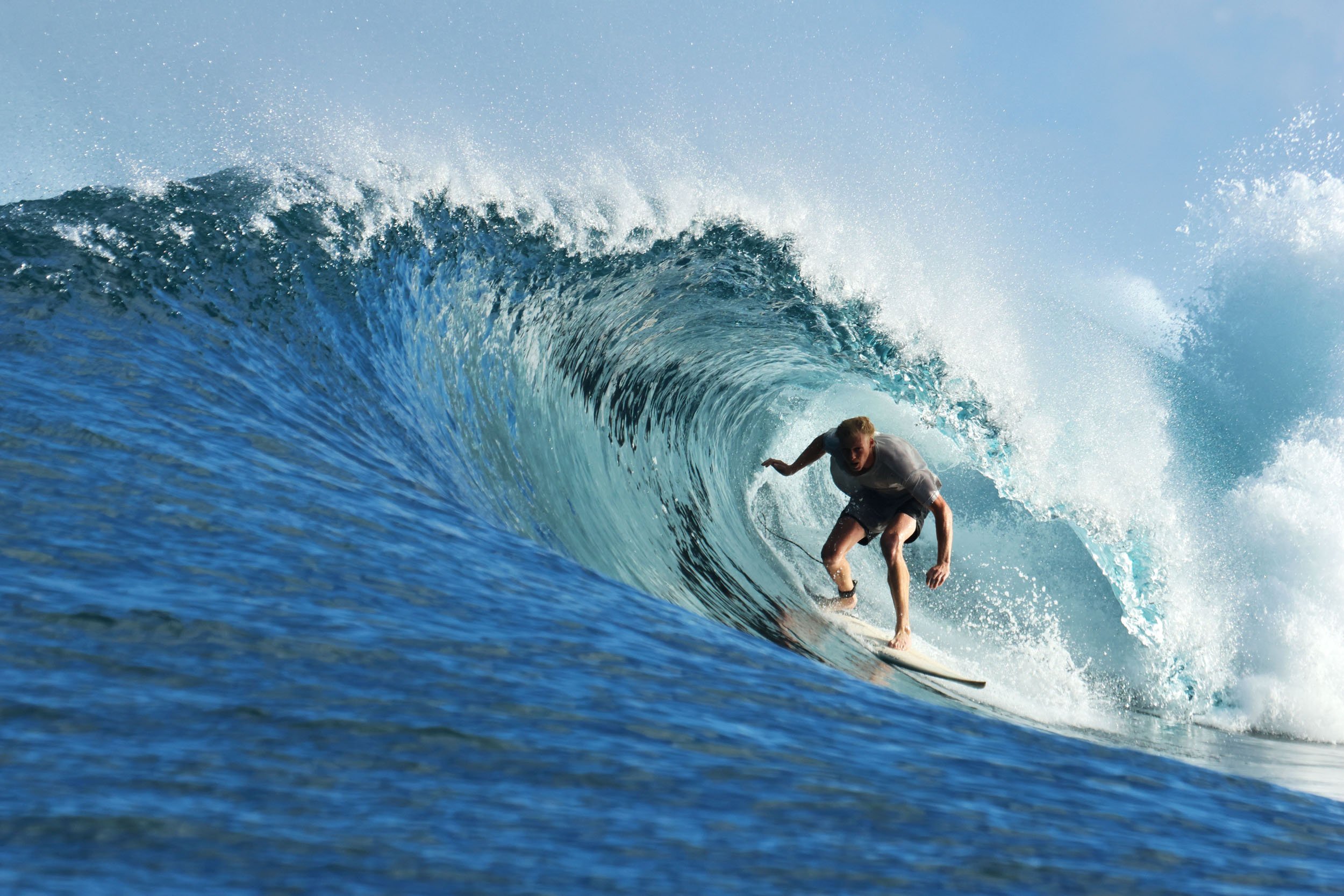 Milky certainly wasnt scared of the reef this day.