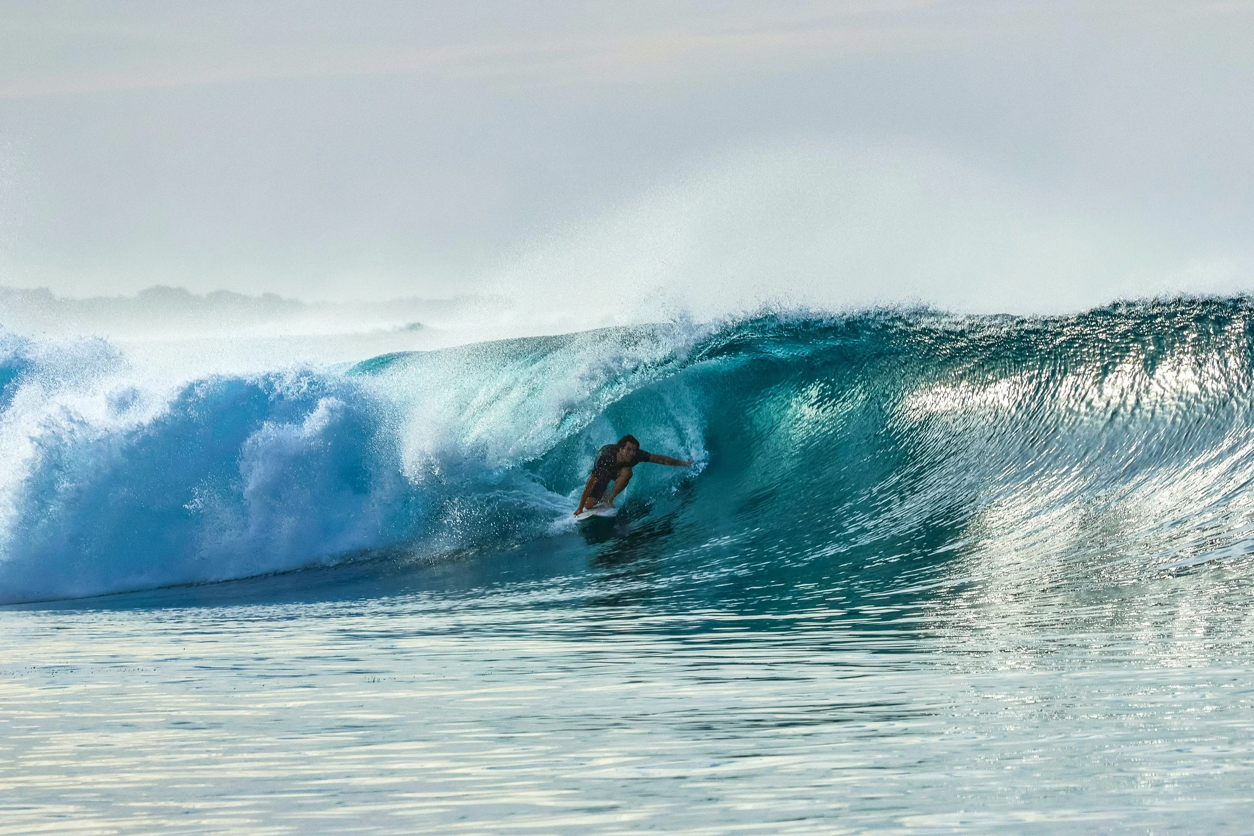  Lynch the silent assassin 