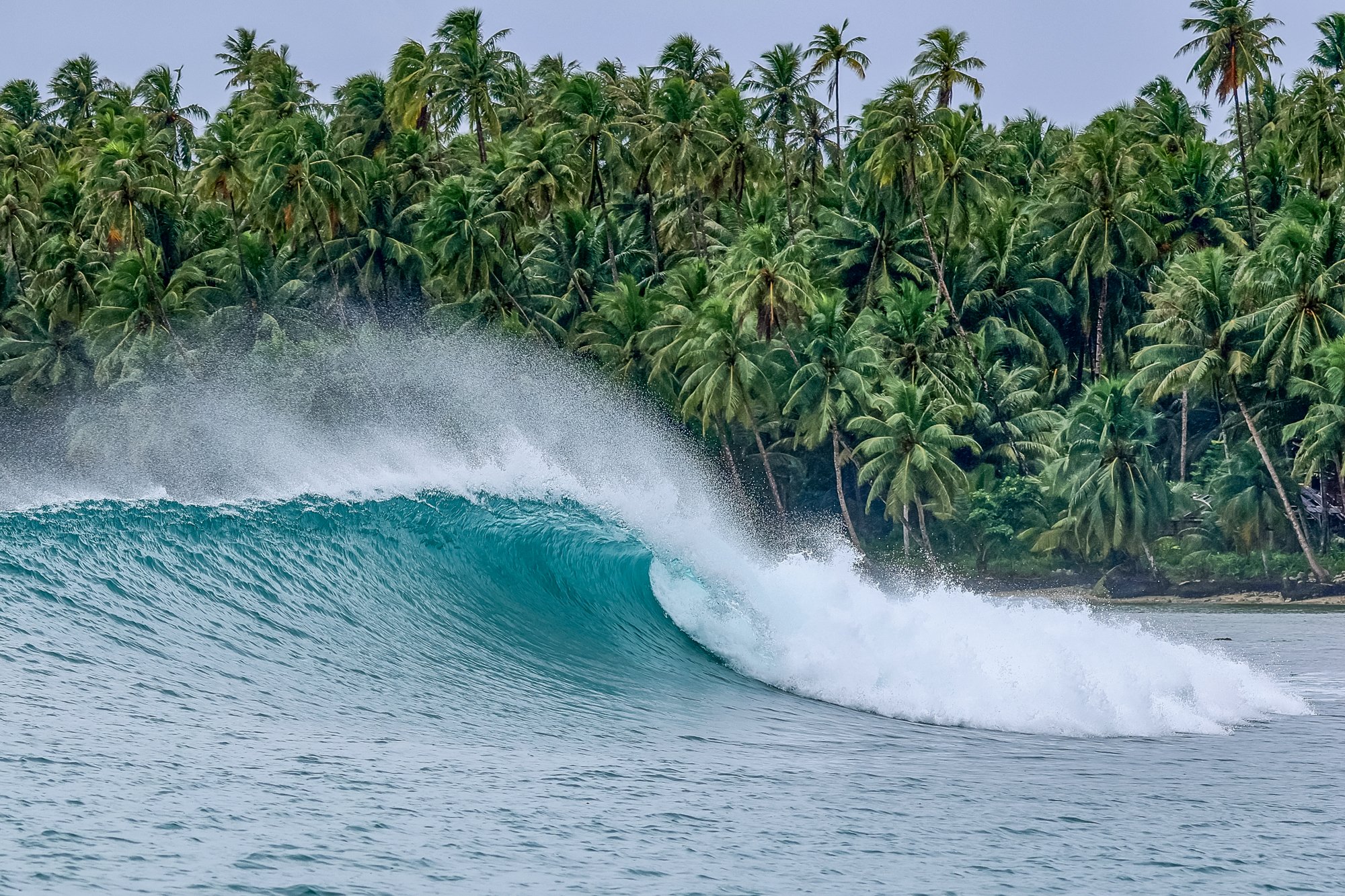 West Sumatran fun