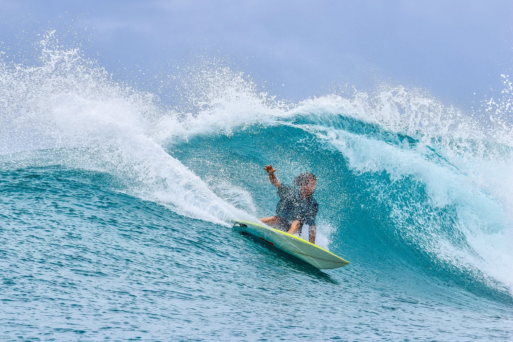 Whippet with a down turn
